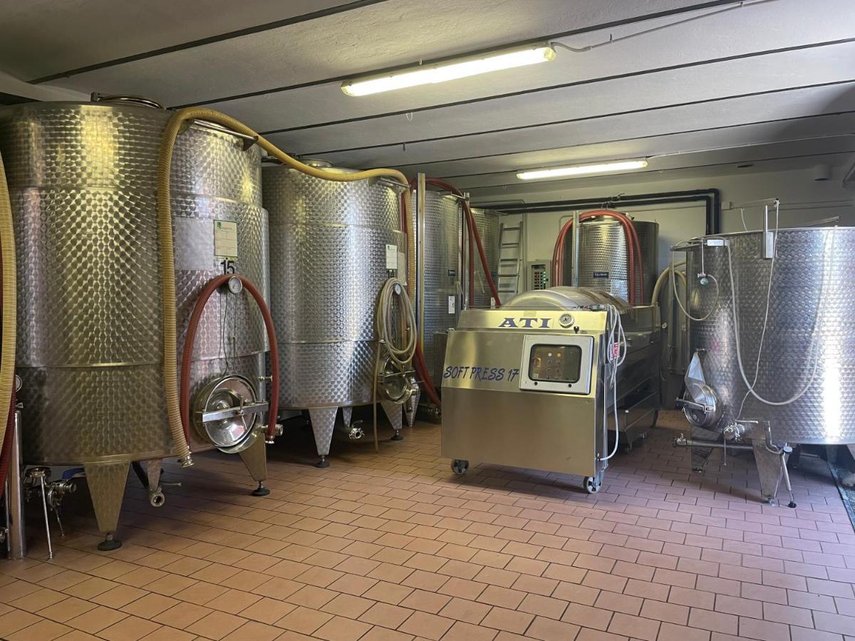 Agriturismo Finestre di Langa Trezzo Tinella Bagian luar foto